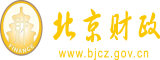 少萝自撸北京市财政局