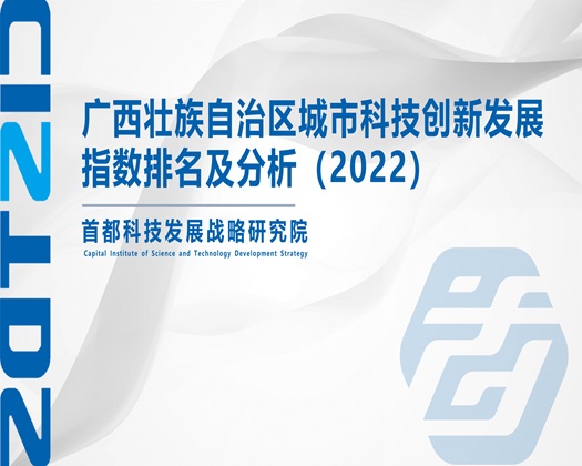 穿jk被艹【成果发布】广西壮族自治区城市科技创新发展指数排名及分析（2022）